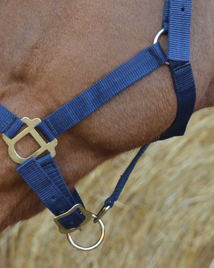 Cabeção First Azul-marinho Cabeção First Azul-marinho