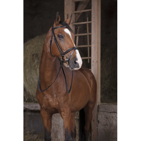 Rédias de borracha Norton Pro