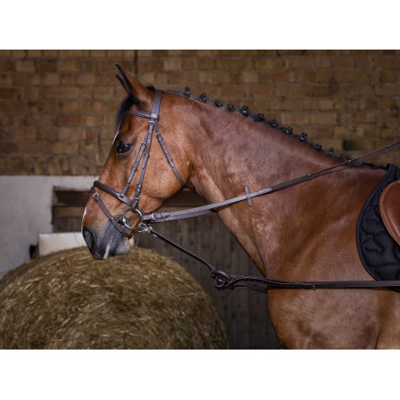 Enrêno de borracha Riding World