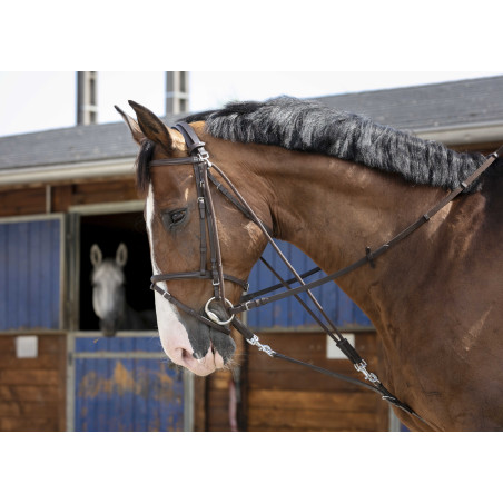 Gogue com roldanas Riding World