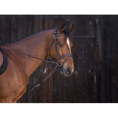 Gogue com roldanas Riding World