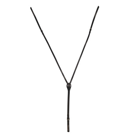 Rédeas vienenses Norton Club