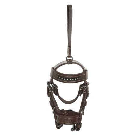 Bridão charms HV Polo Legacy