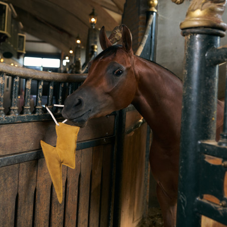 Brinquedo de baia Imperial Riding relâmpago