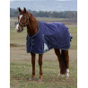 Capa ComFiTec Plus Dynamic Turnout Weatherbeeta 0g - Marinho / verde floresta