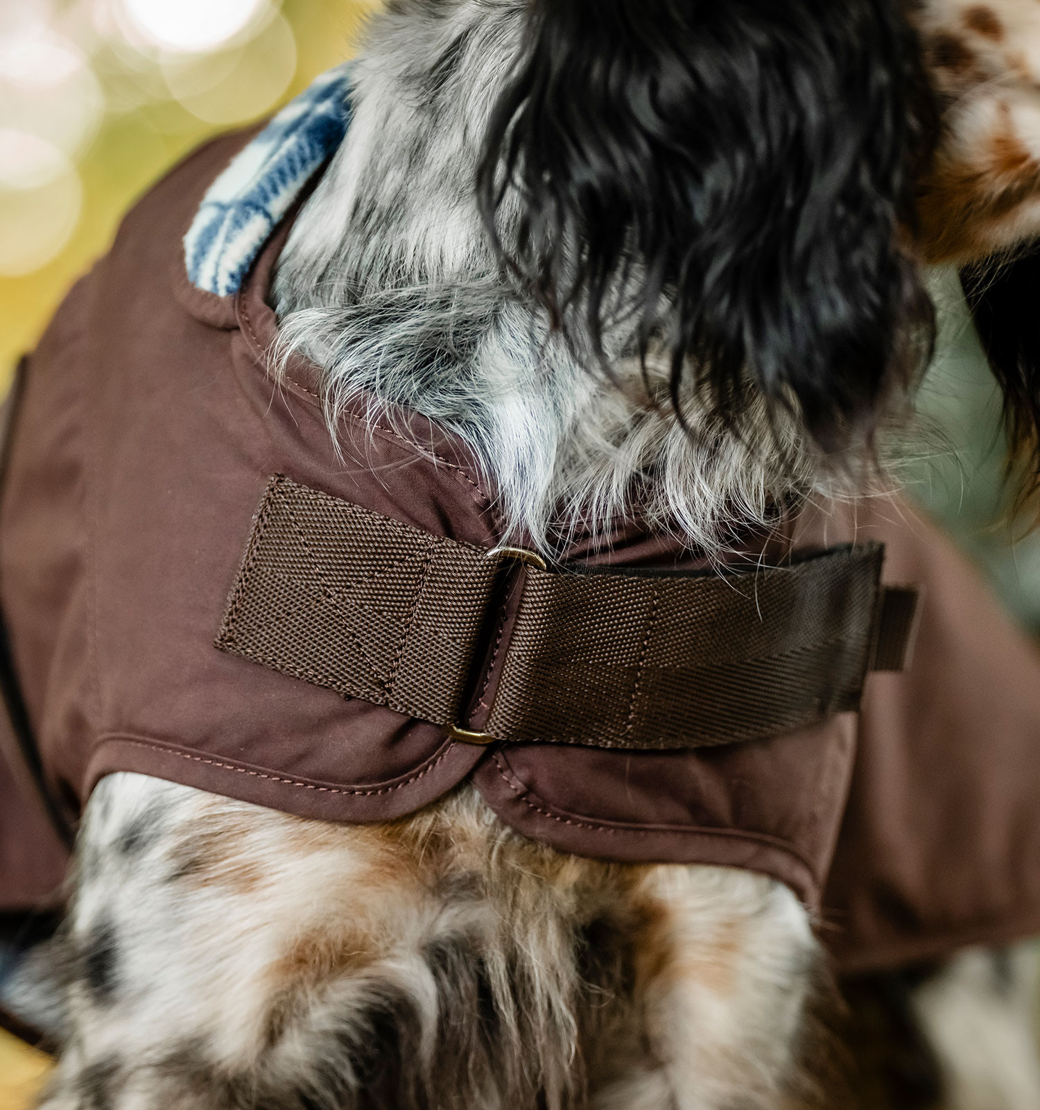 Manta para cão Horseware Heritage Newmarket Castanho / azul-marinho Witney Manta para cão Horseware Heritage Newmarket Castanho / azul-marinho Witney