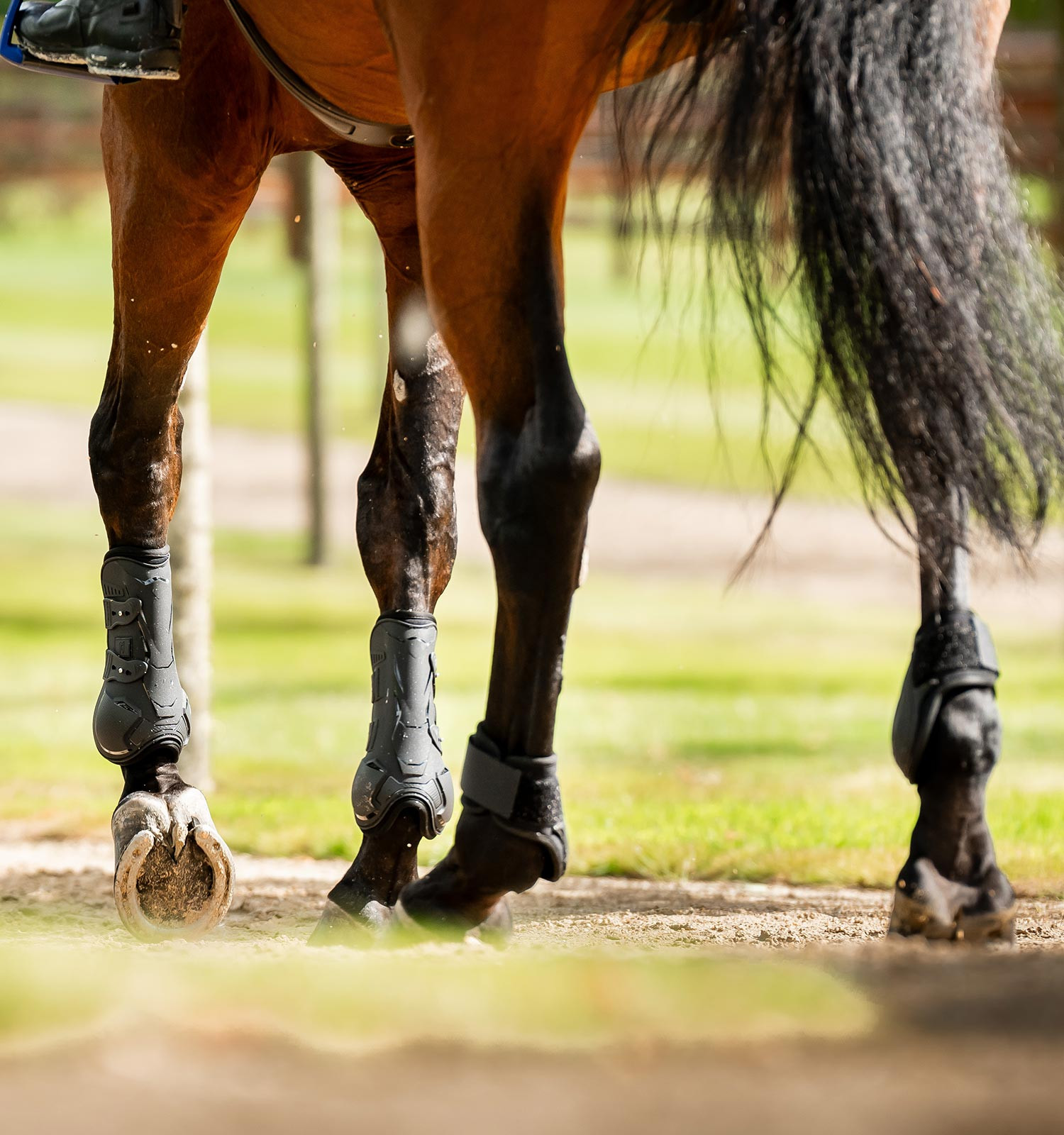 Guarnições para boleto Horseware® Classic Preto / preto Guarnições para boleto Horseware® Classic Preto / preto
