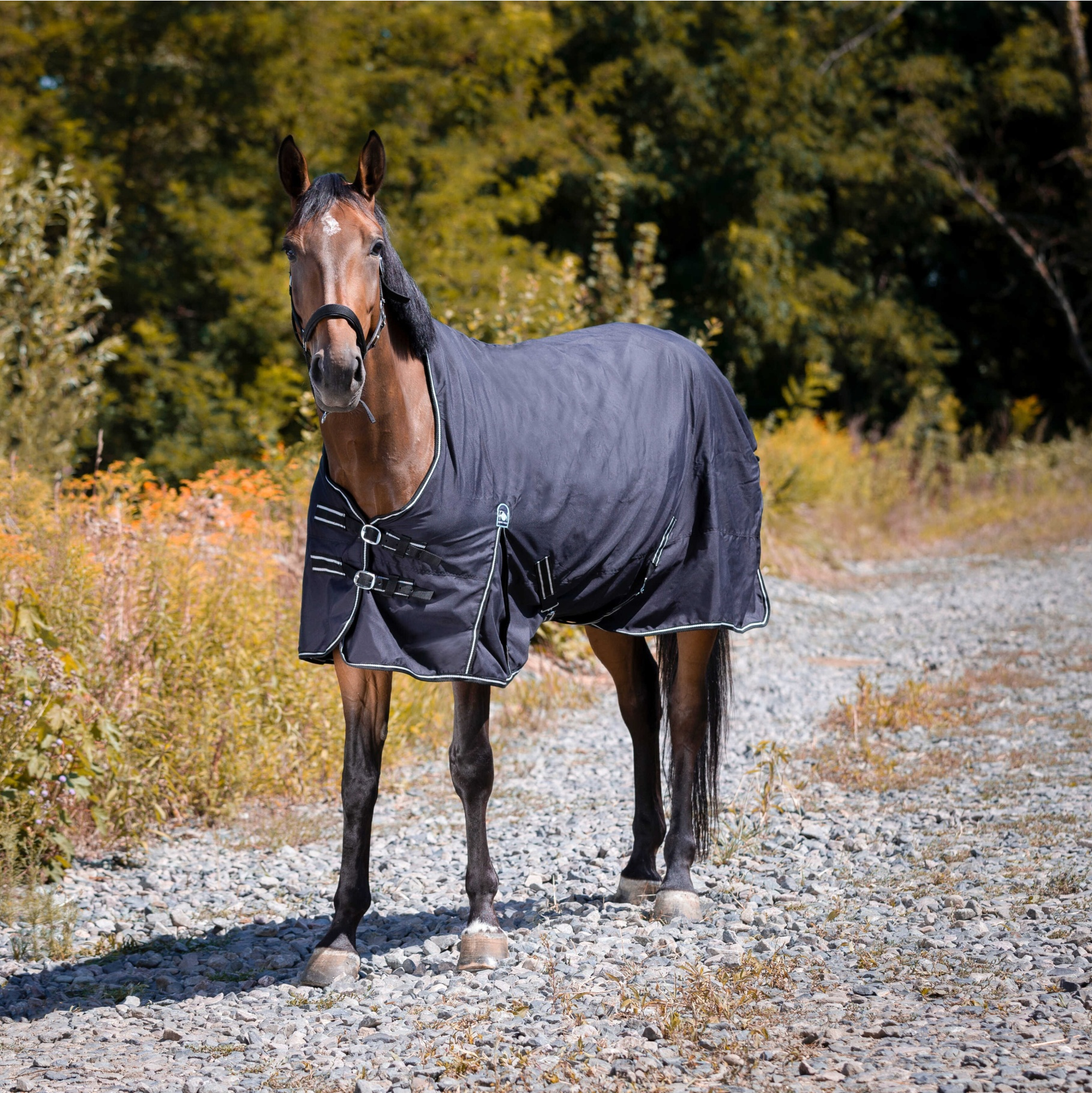 Capa impermeável Riding World Oxford Preto