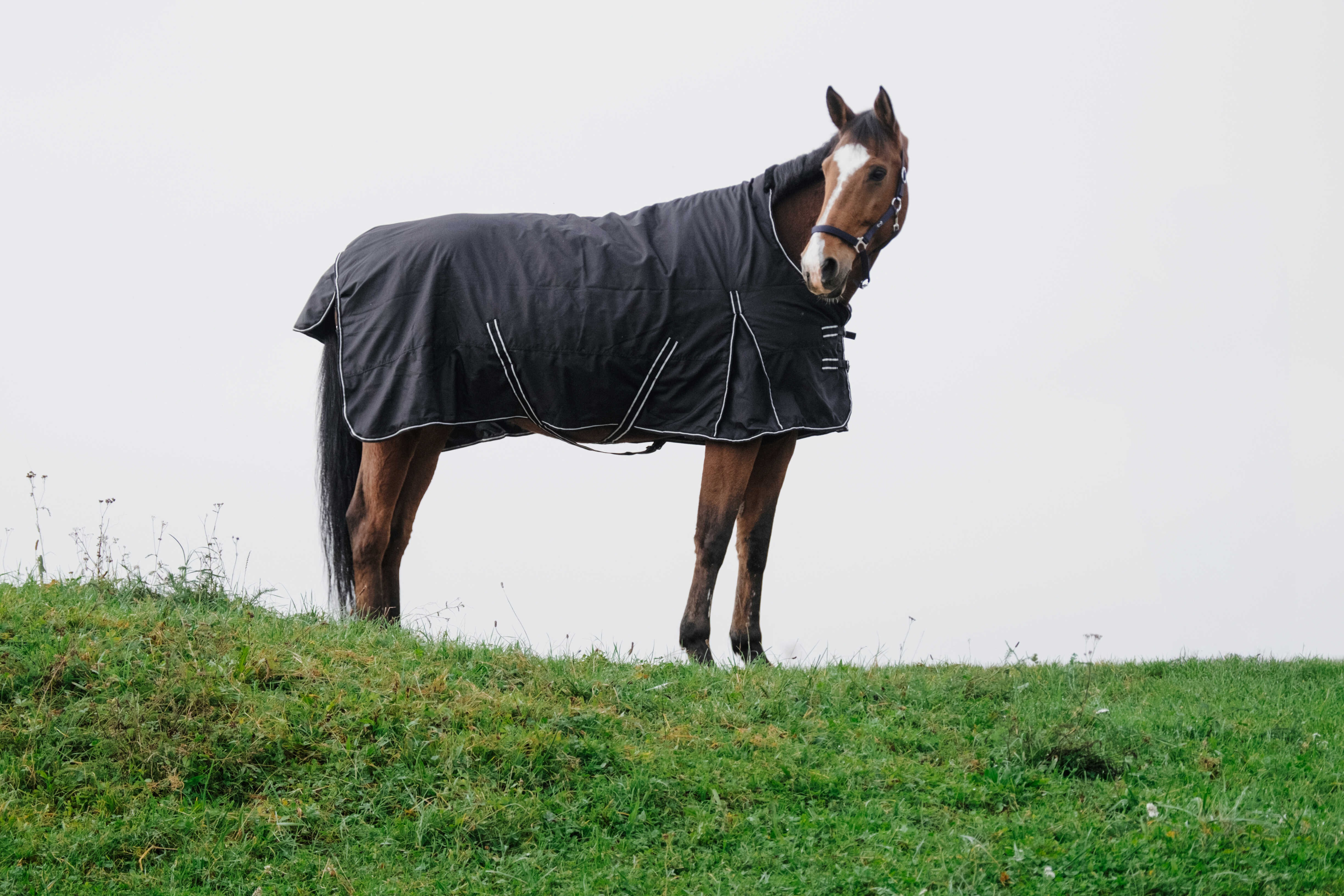 Capa impermeável Riding World Oxford Preto