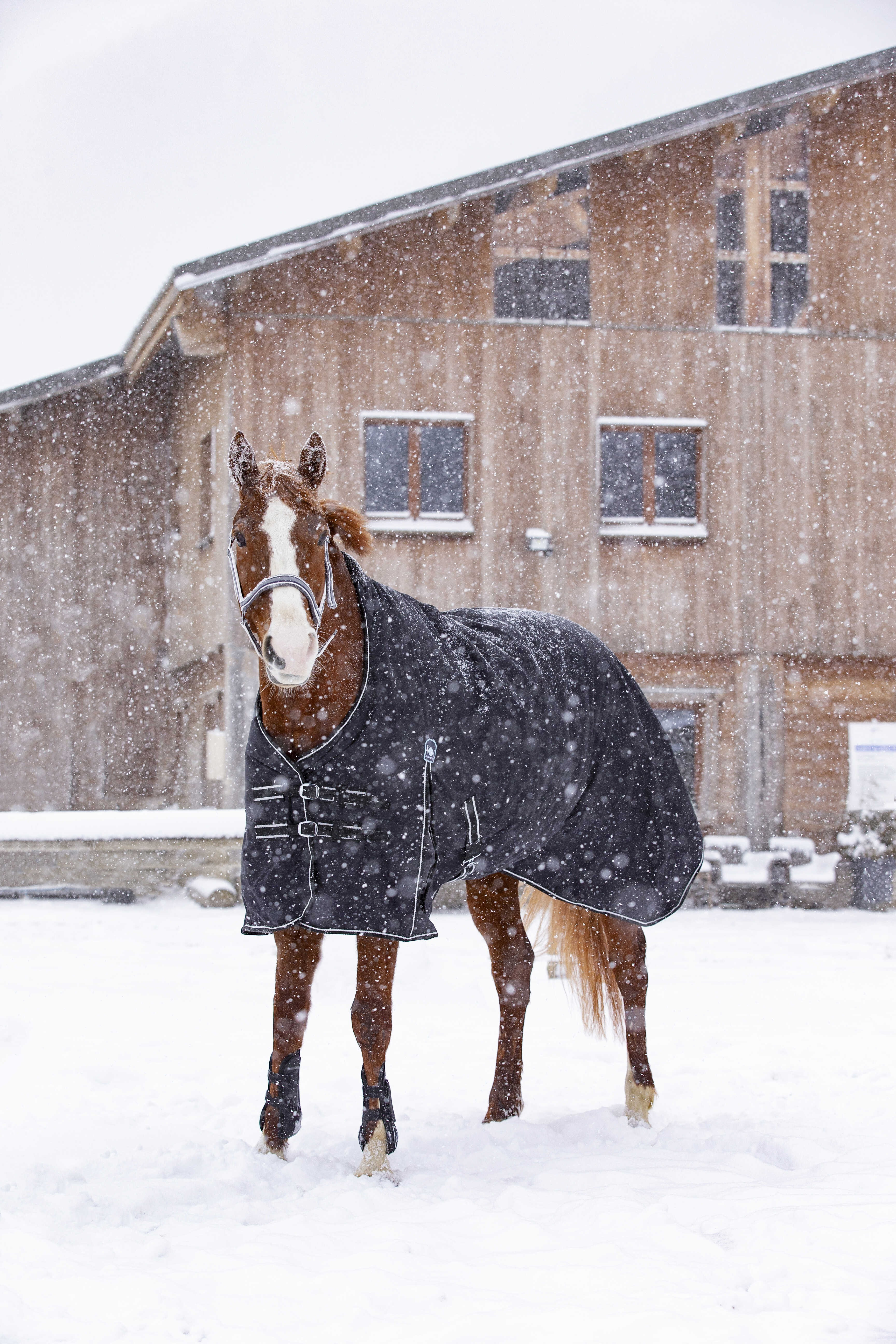 Capa Riding World Oxford impermeável forrada com lã polar Preto