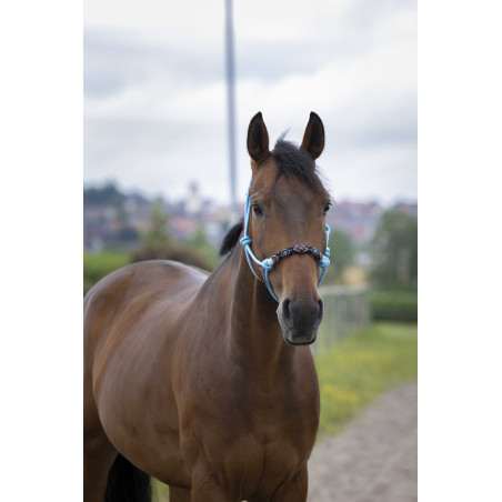 Cabresto etológico Norton Pearl