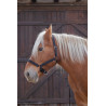 Cabresto Norton Pro para cavalo de tração - Preto