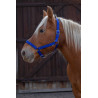 Cabresto Norton Pro para cavalo de tração - Azul royal