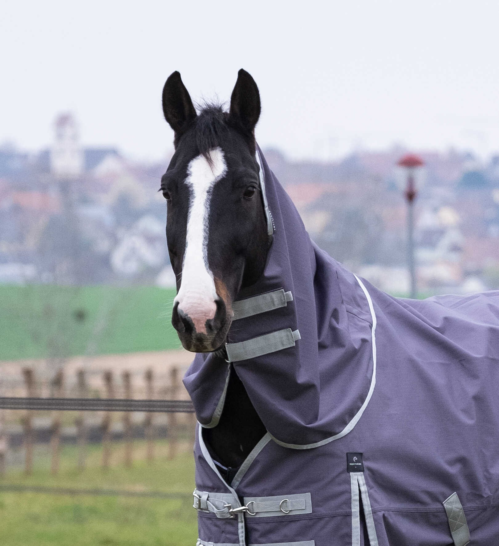 Cobre-pescoço Equithème Tyrex 1200D reciclado  Cinzento-acastanhado Castanho