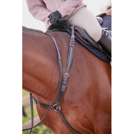 Martin collier Penélope