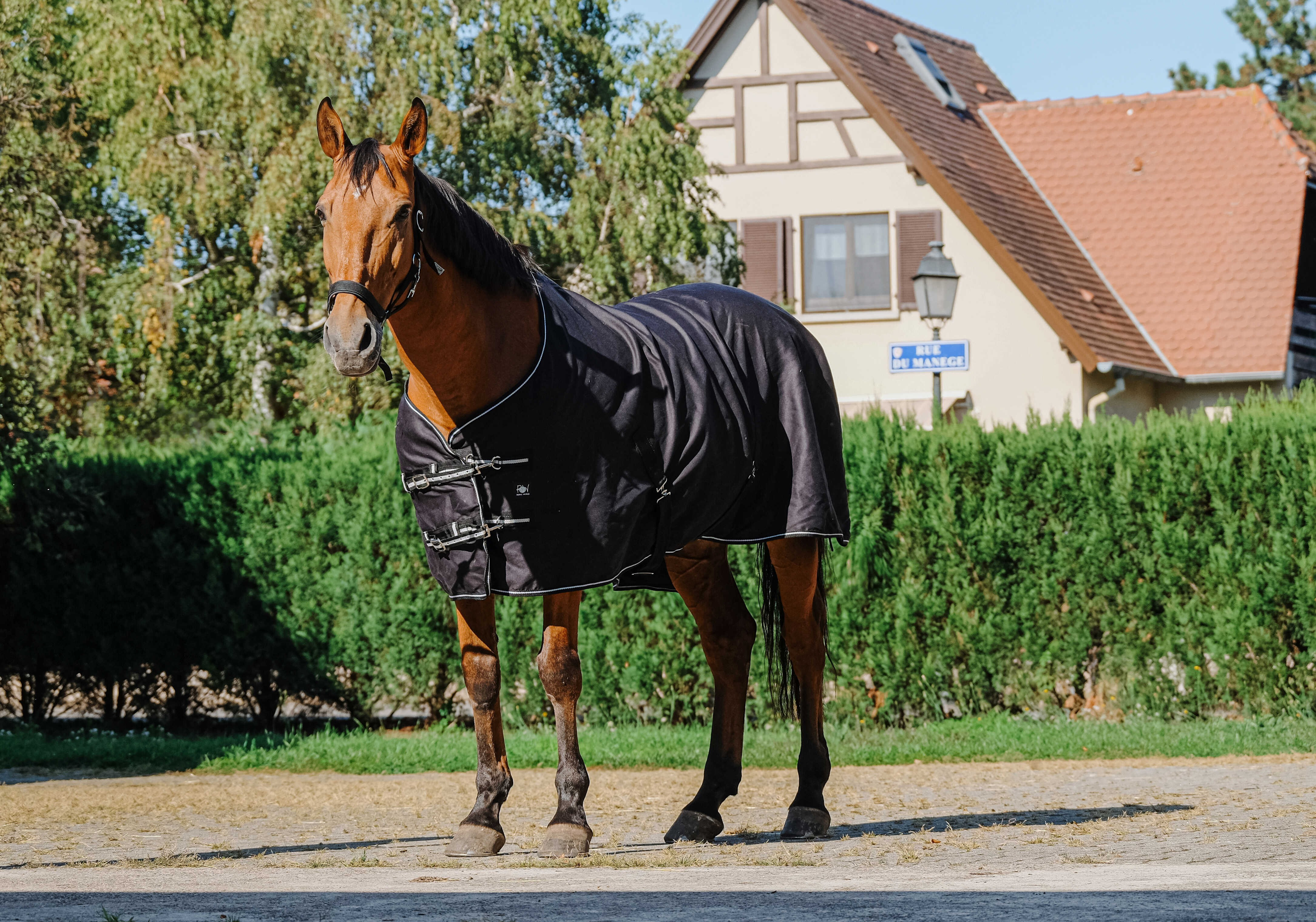 Camisa brilhante Riding World Preto