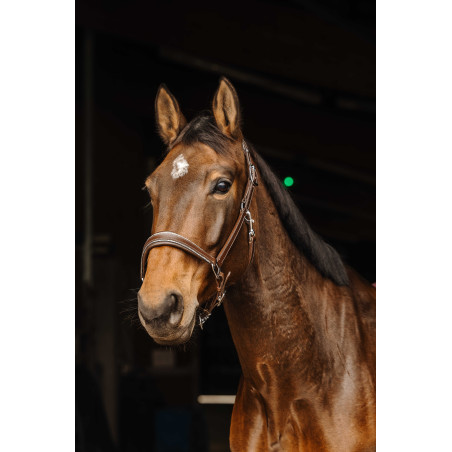 Cabezada de couro Norton Rock