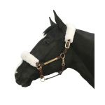 Conjunto de cabeçada Back On Track