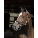 Cabezada Werano Back On Track