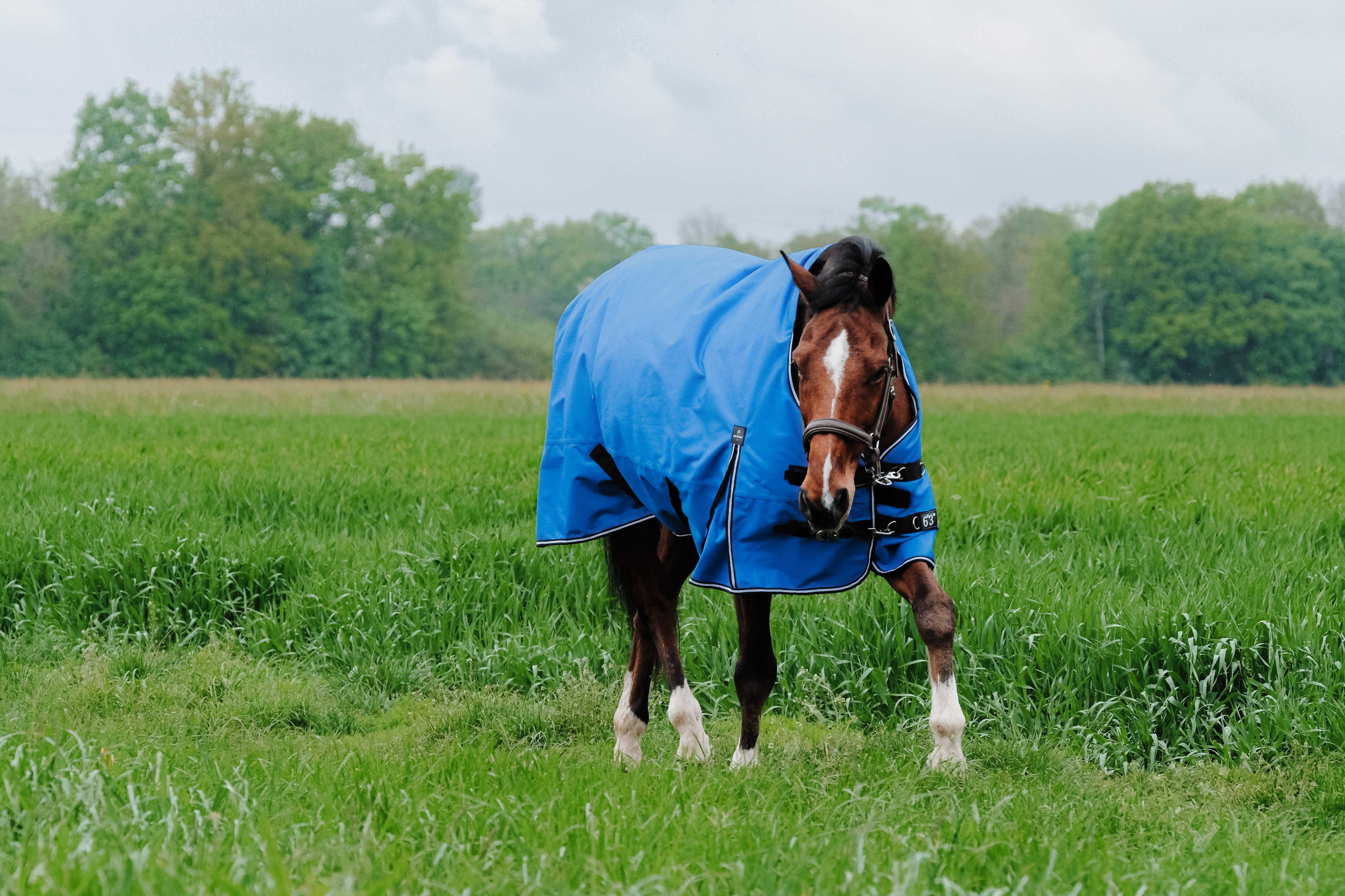 Cobertura Equithème Tyrex Aisance 1200D Pescoço Alto Azul royal