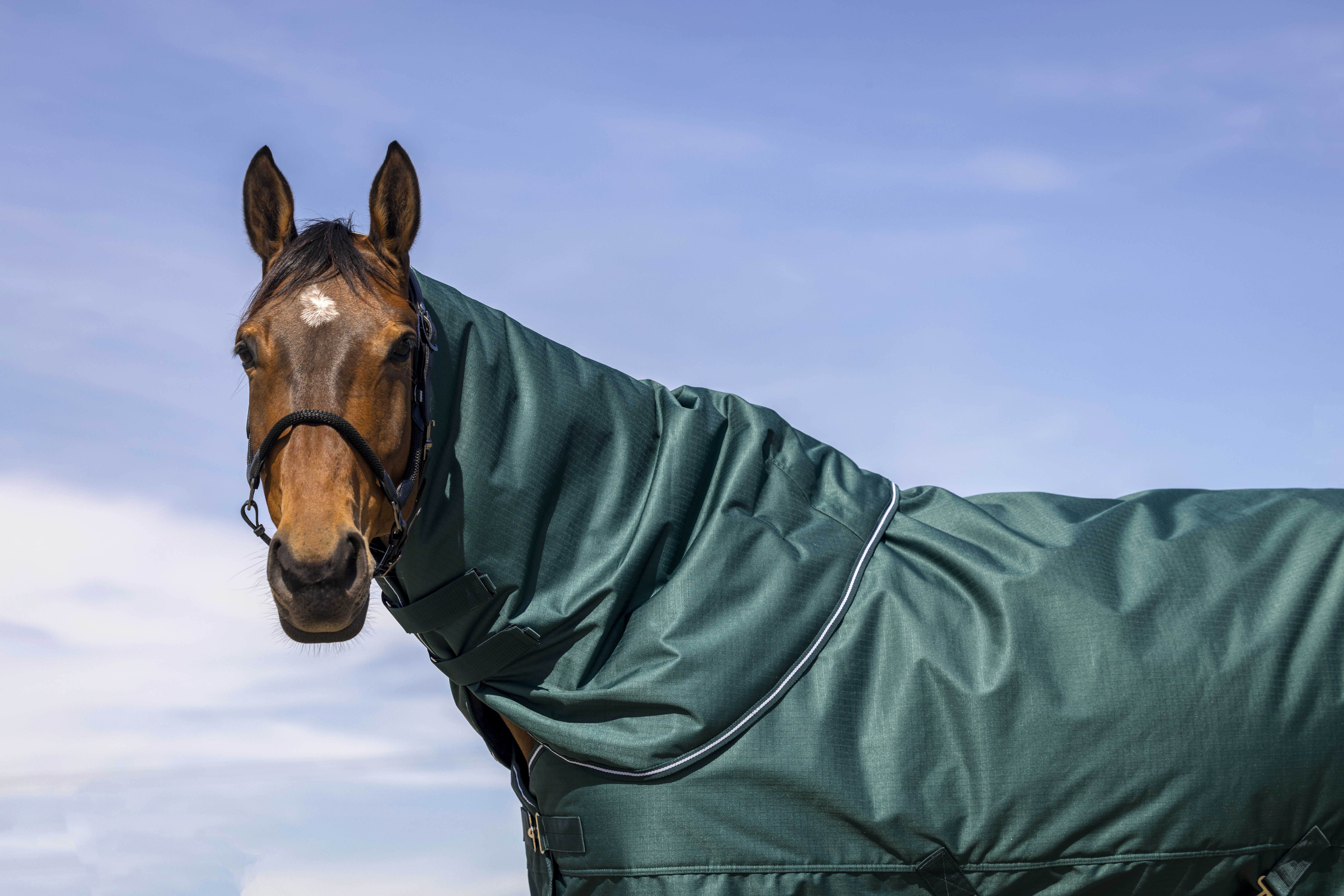 Cobre-pescoço Equithème Tyrex 600D Preto