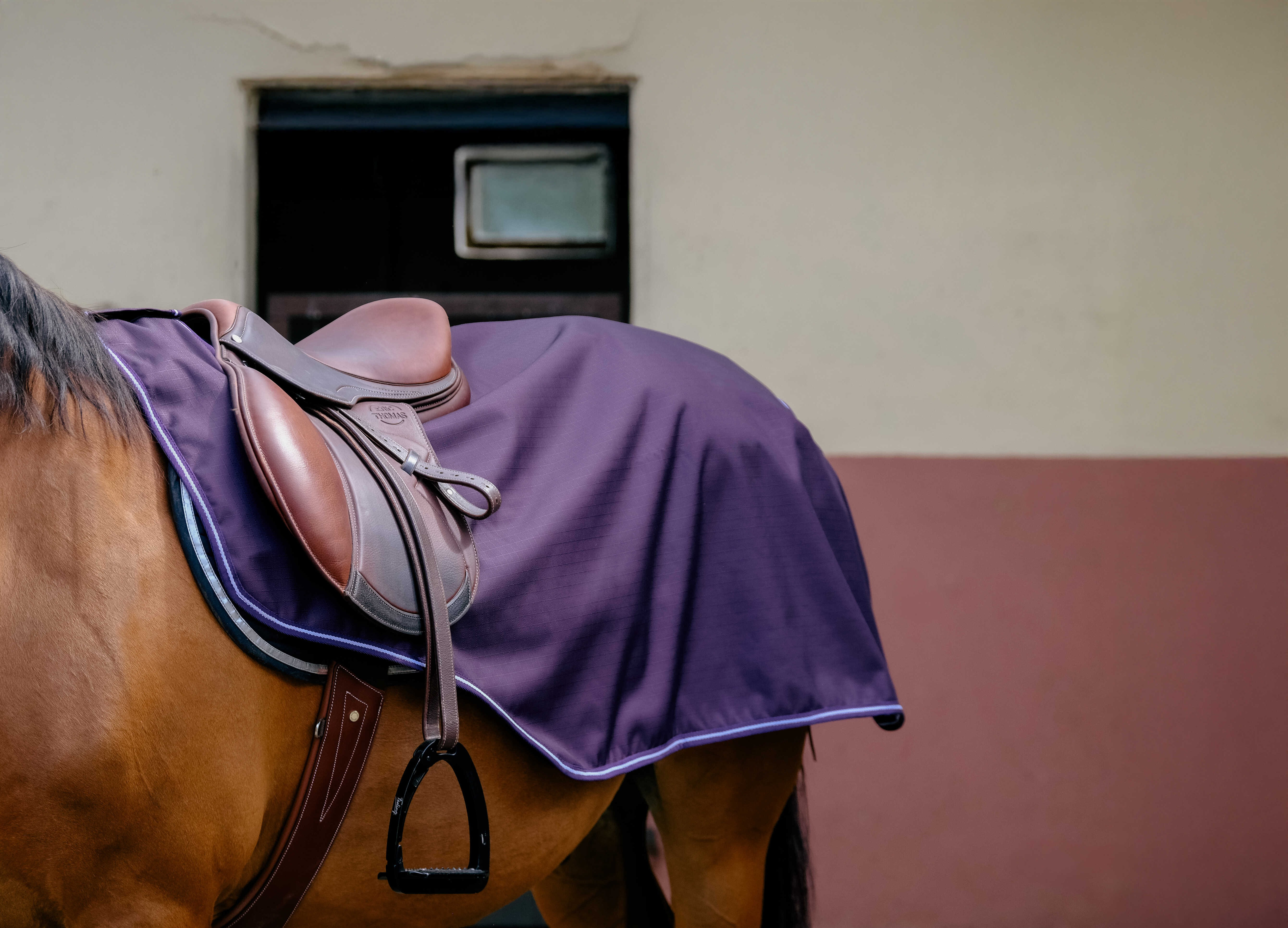 Cobre-rins Equithème Tyrex 600D Polar Ameixa Violeta