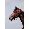 Almofada de Cabresto Riding World - Vermelho