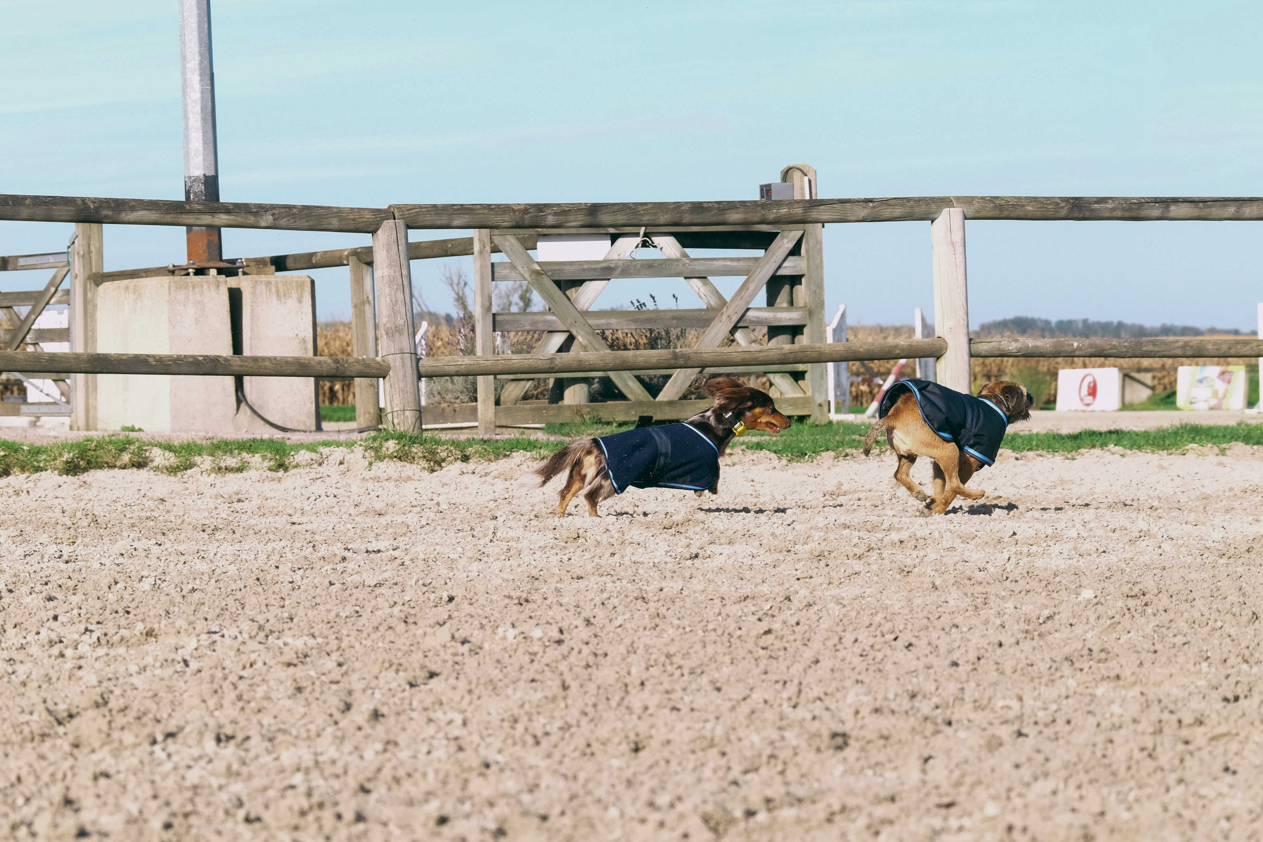 Capa para cão Equithème Eco 600D Marinho Azul-marinho Capa para cão Equithème Eco 600D Marinho Azul-marinho