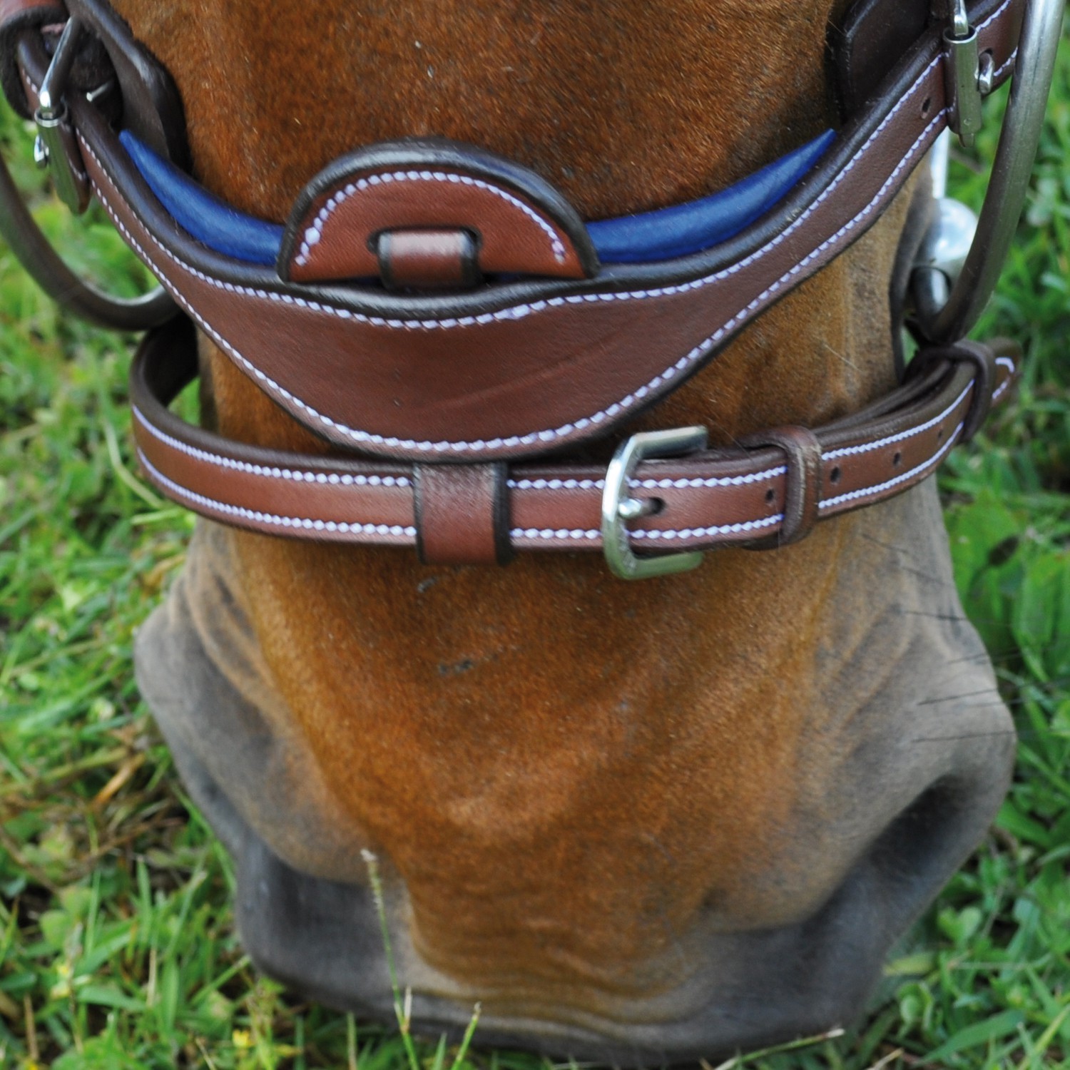Bridon Flags & Cup Paris combiné Noir / marine