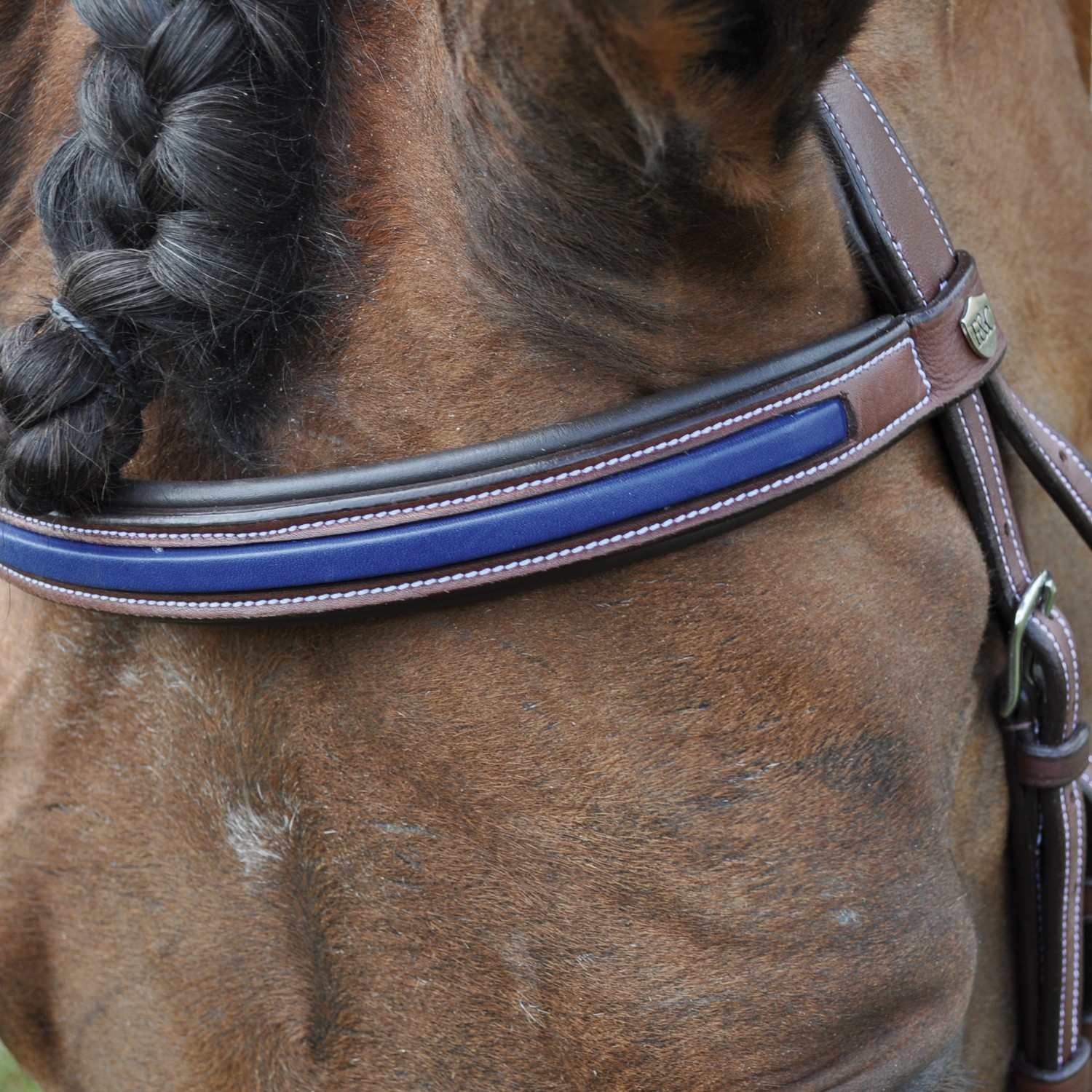 Bridon Flags & Cup Paris combiné Noir / marine