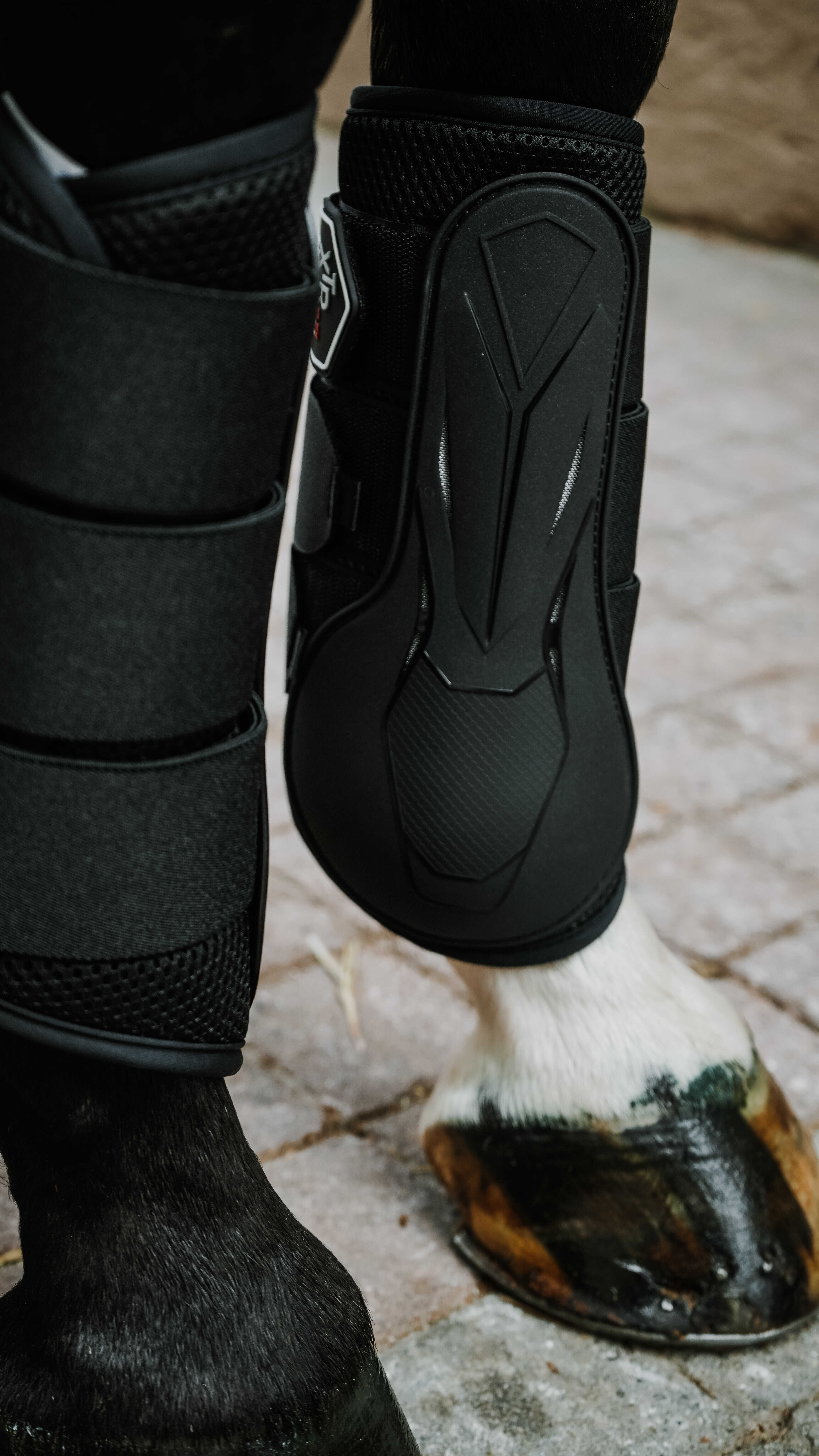 Guêtres fechadas Norton XTR Flex Preto