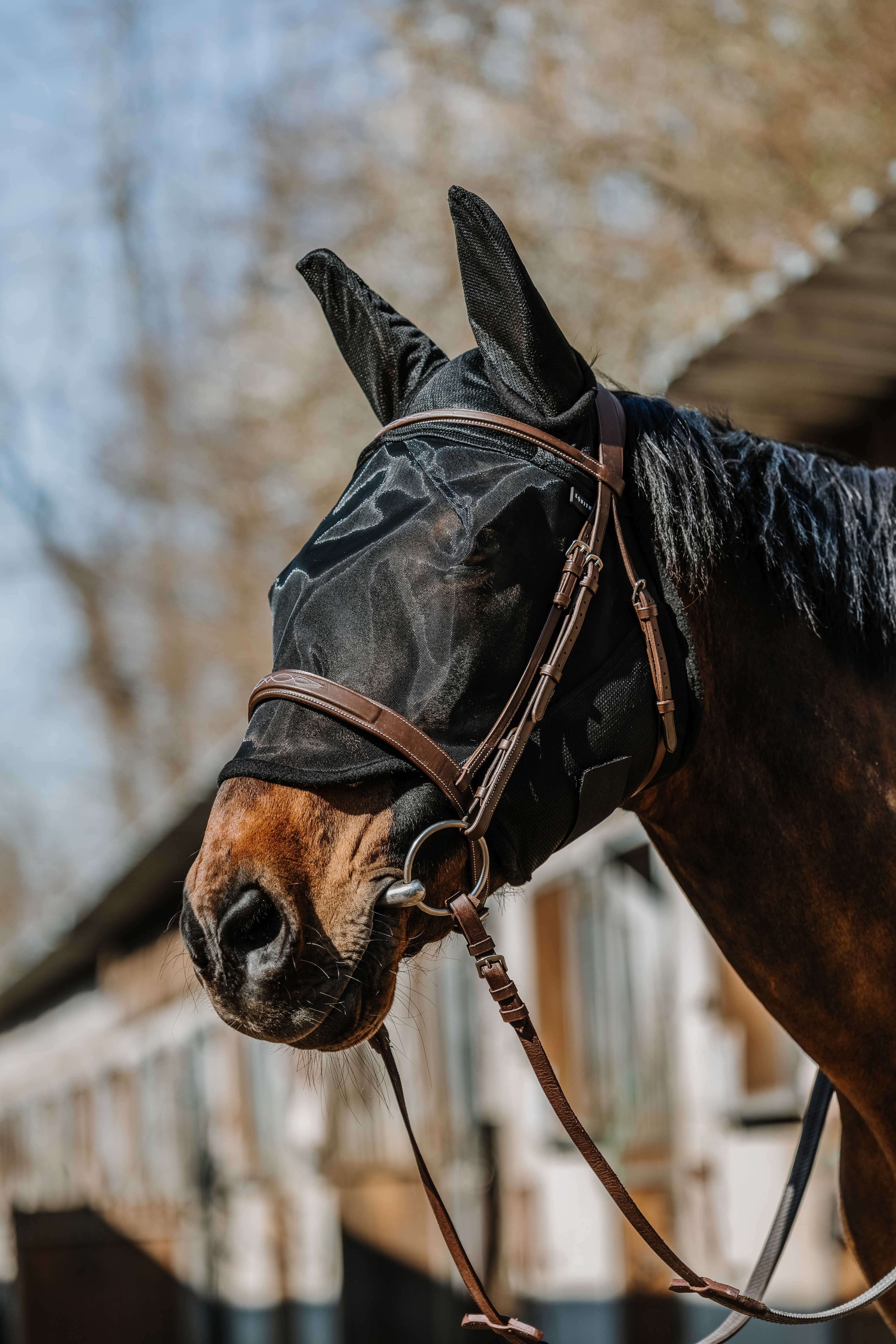 Máscara anti-moscas anti-UV Equithème Anatomic Preto