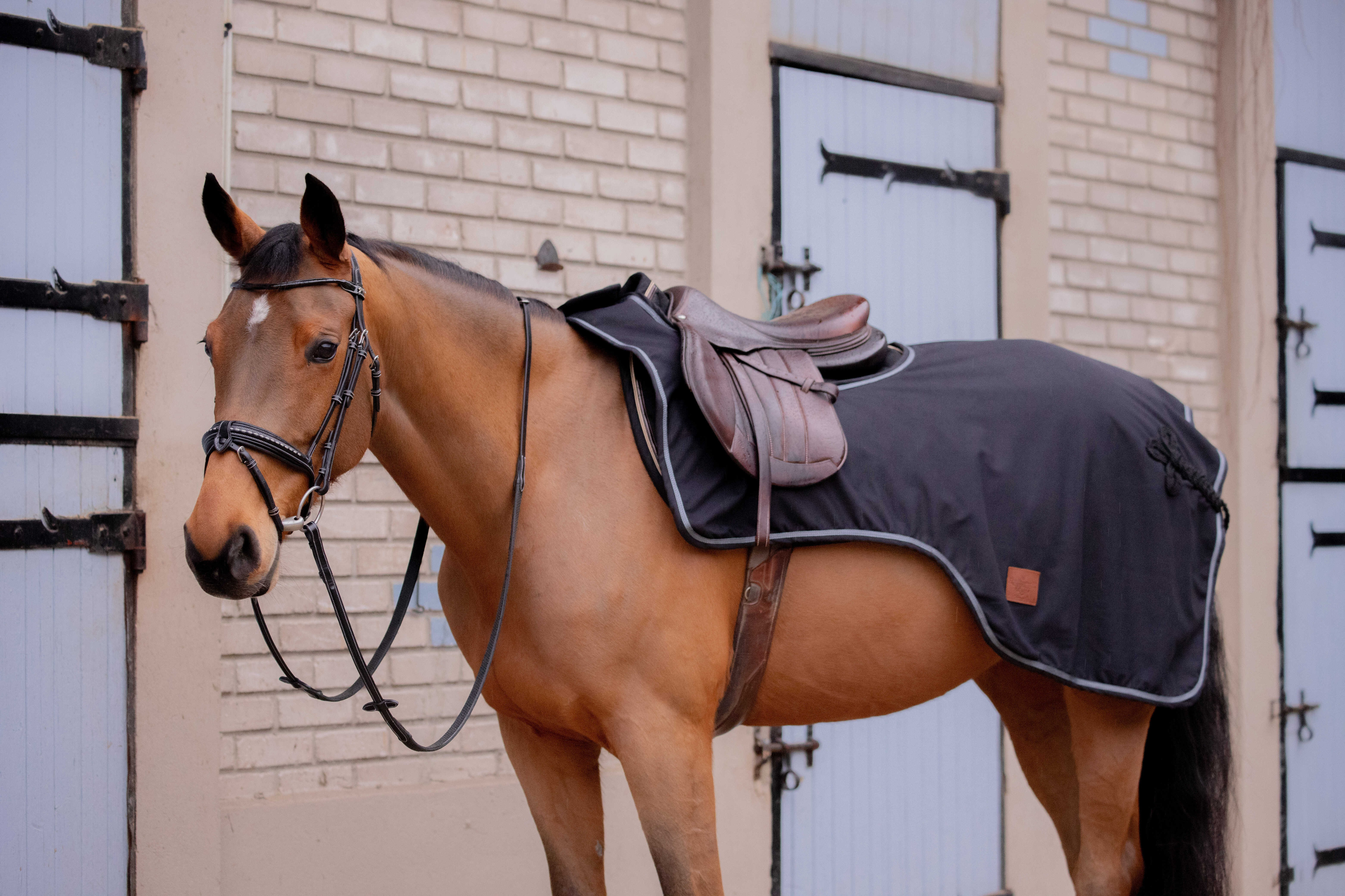 Cobre-rins Paddock Sports Classic Rain Preto