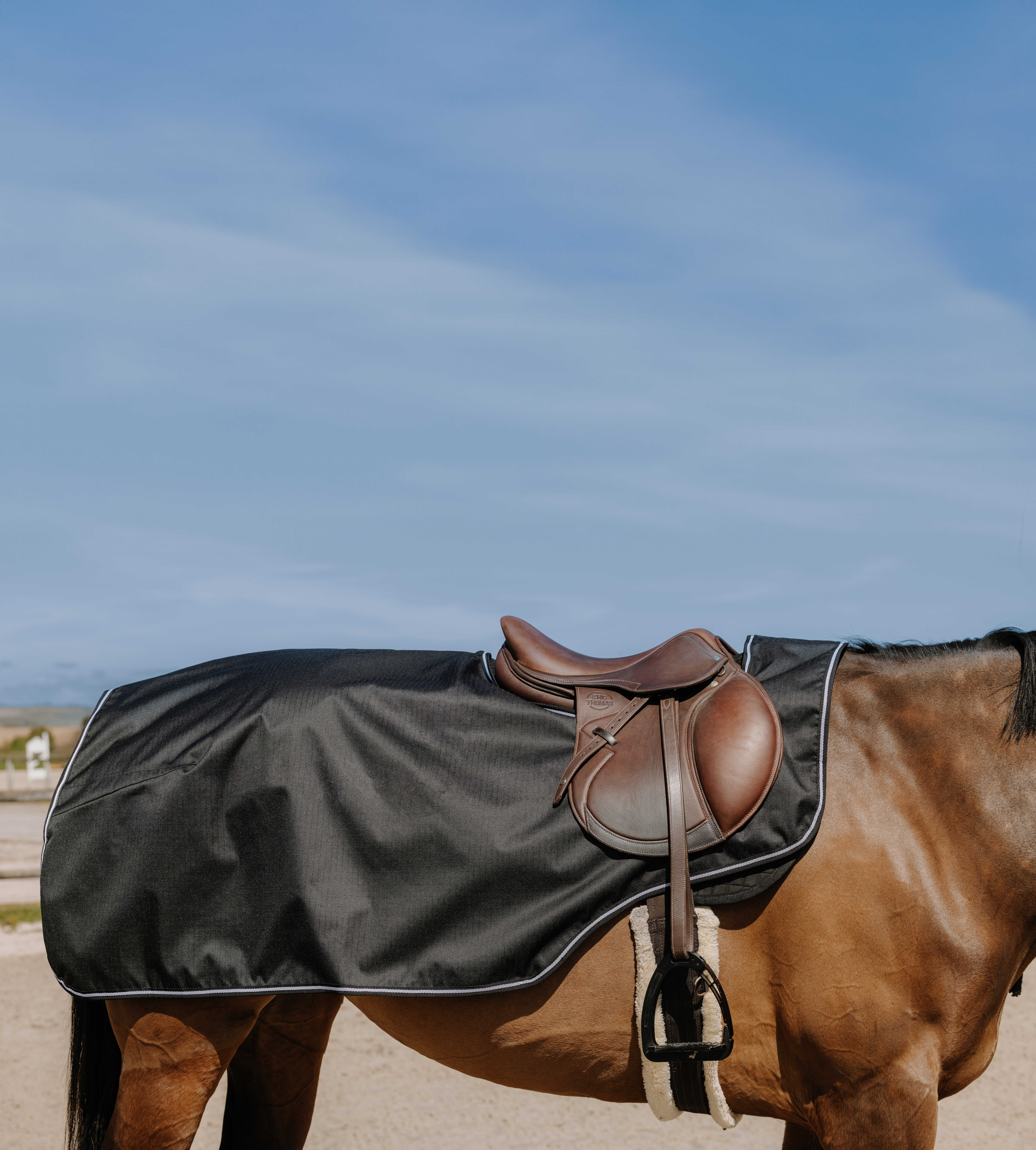 Cobre-rins Equithème Tyrex 600D Polar Ameixa Violeta