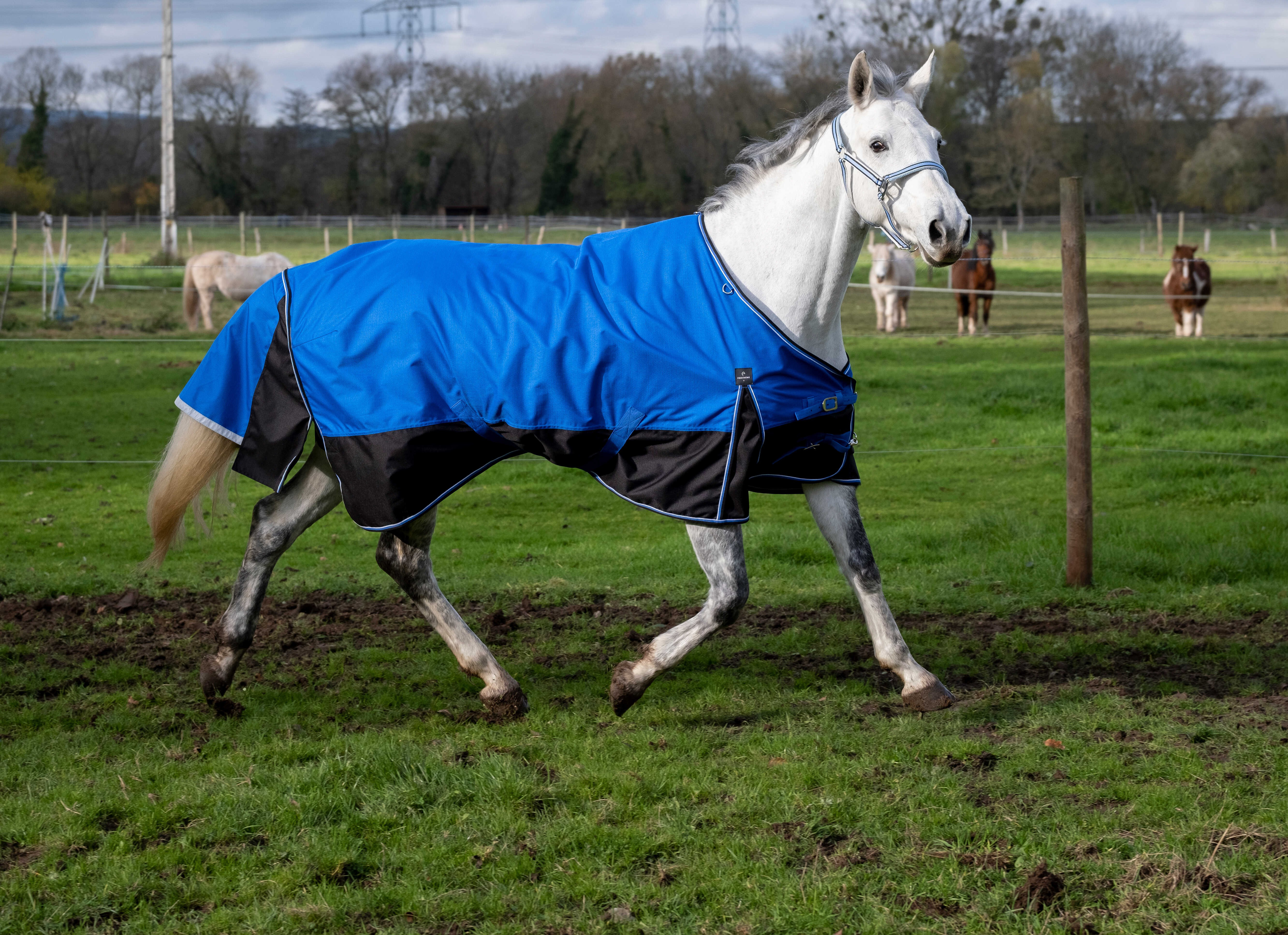 Capa Equithème Tyrex Aisance 1200D Azul royal