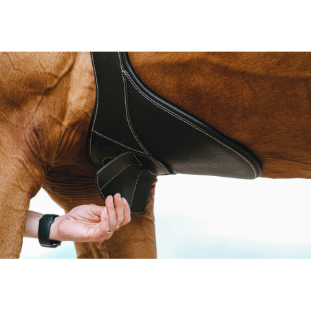 Cinta peitoral Magnet Norton