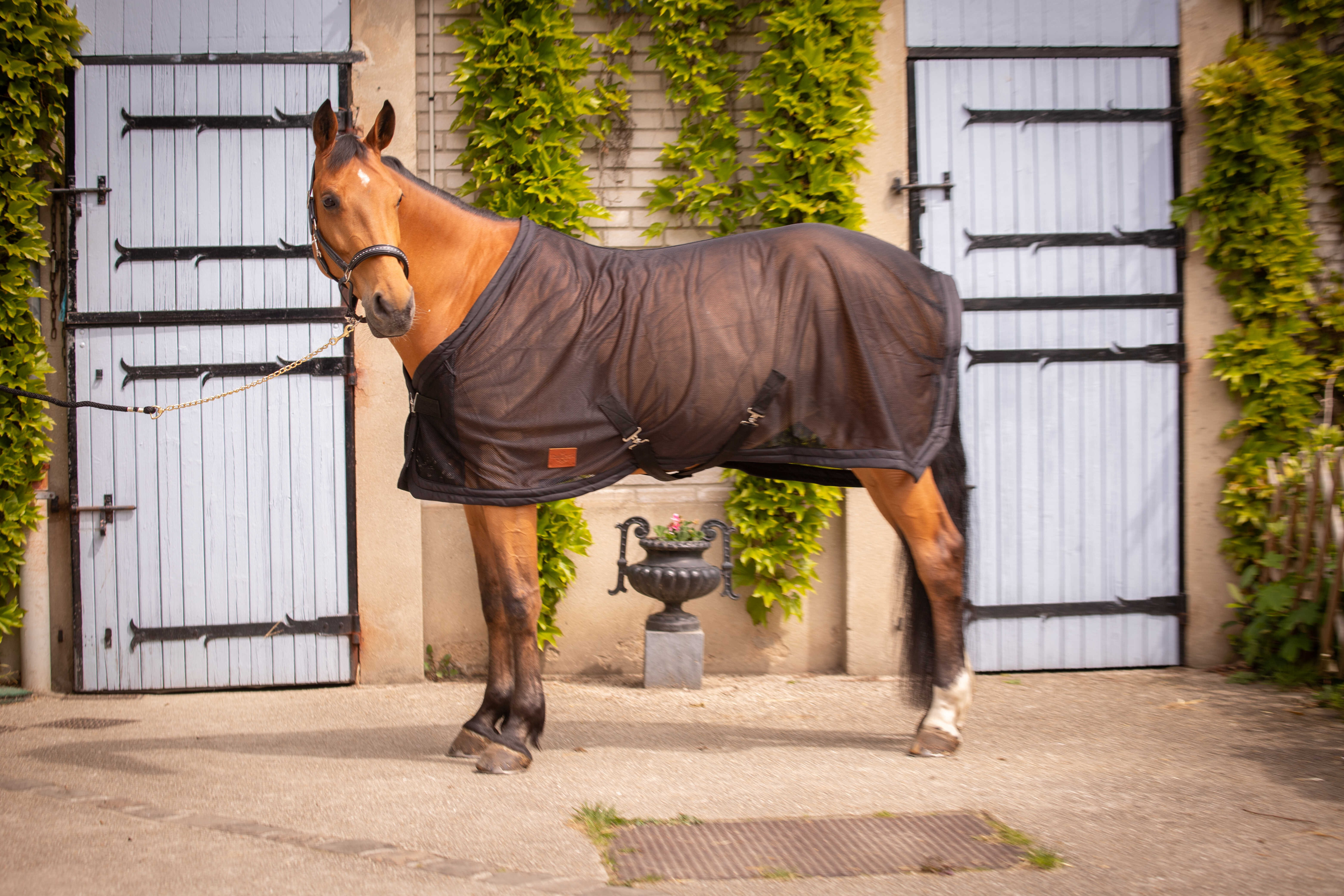 Camisa Mesh Paddock Sports Preto