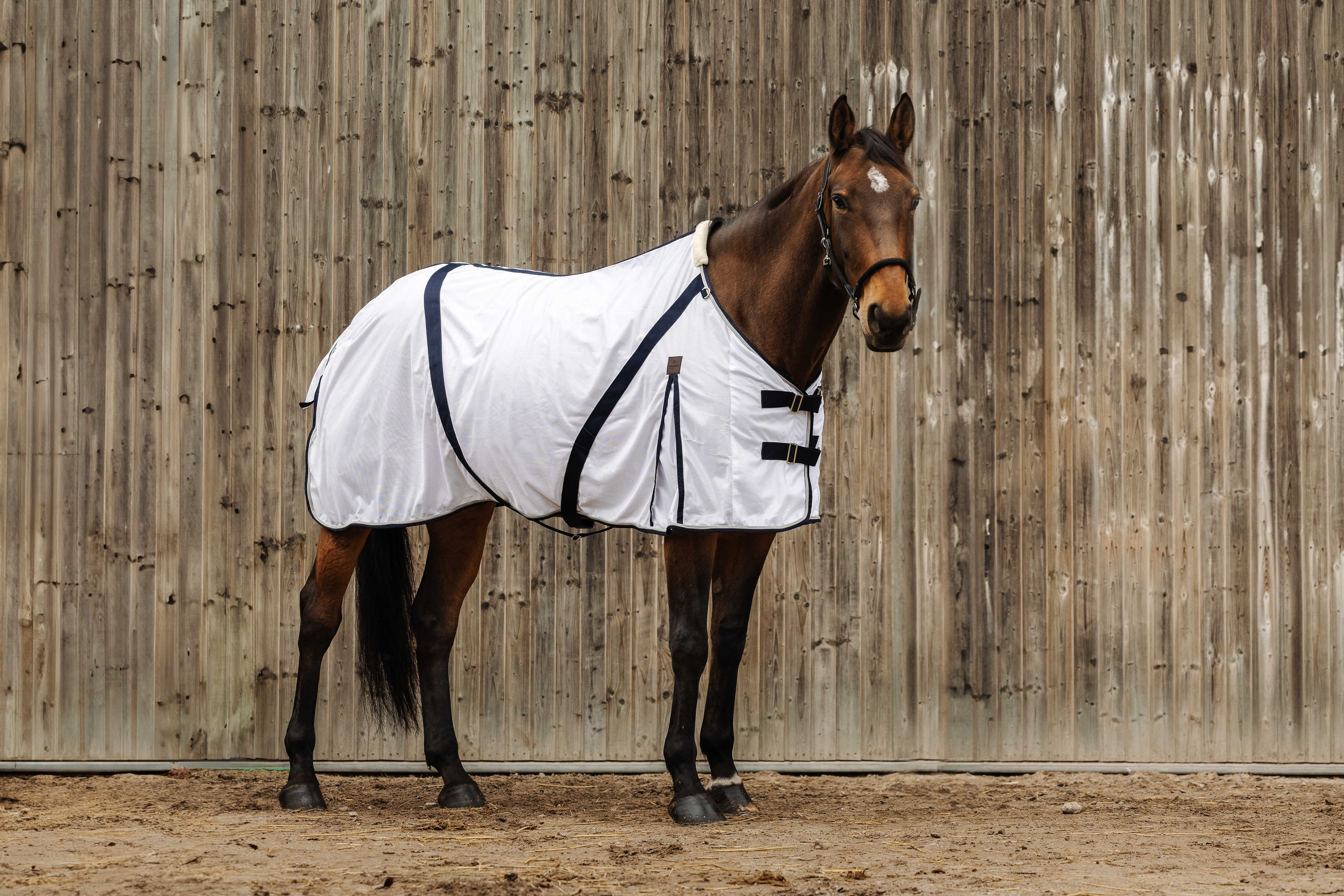 Camisa Equithème Mesh branca Branco