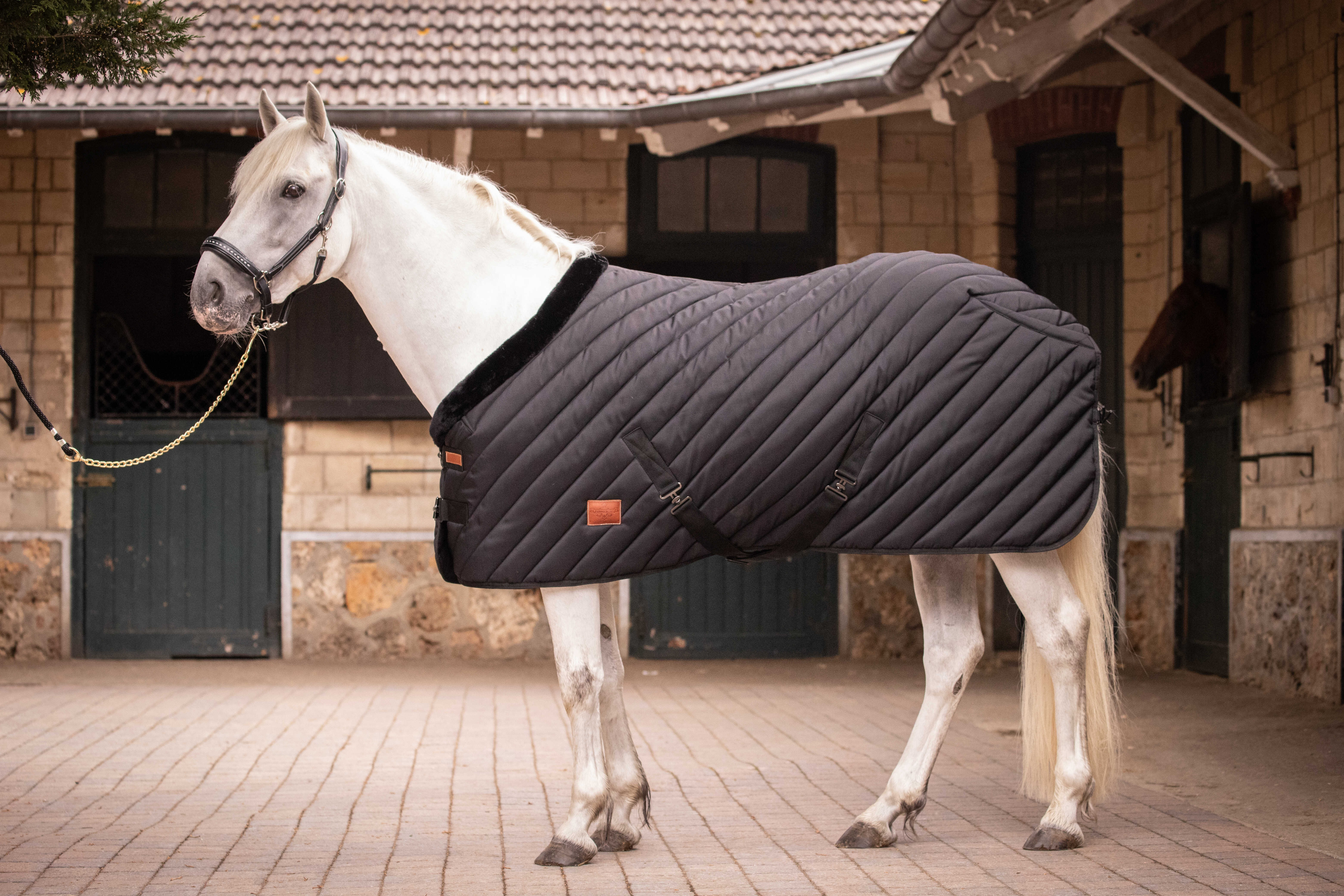 Cobertura de estábulo Diagonale Paddock Sports 400g Preto