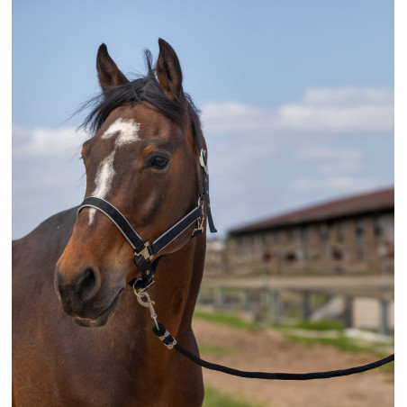 Caveção Equithème Nylon light