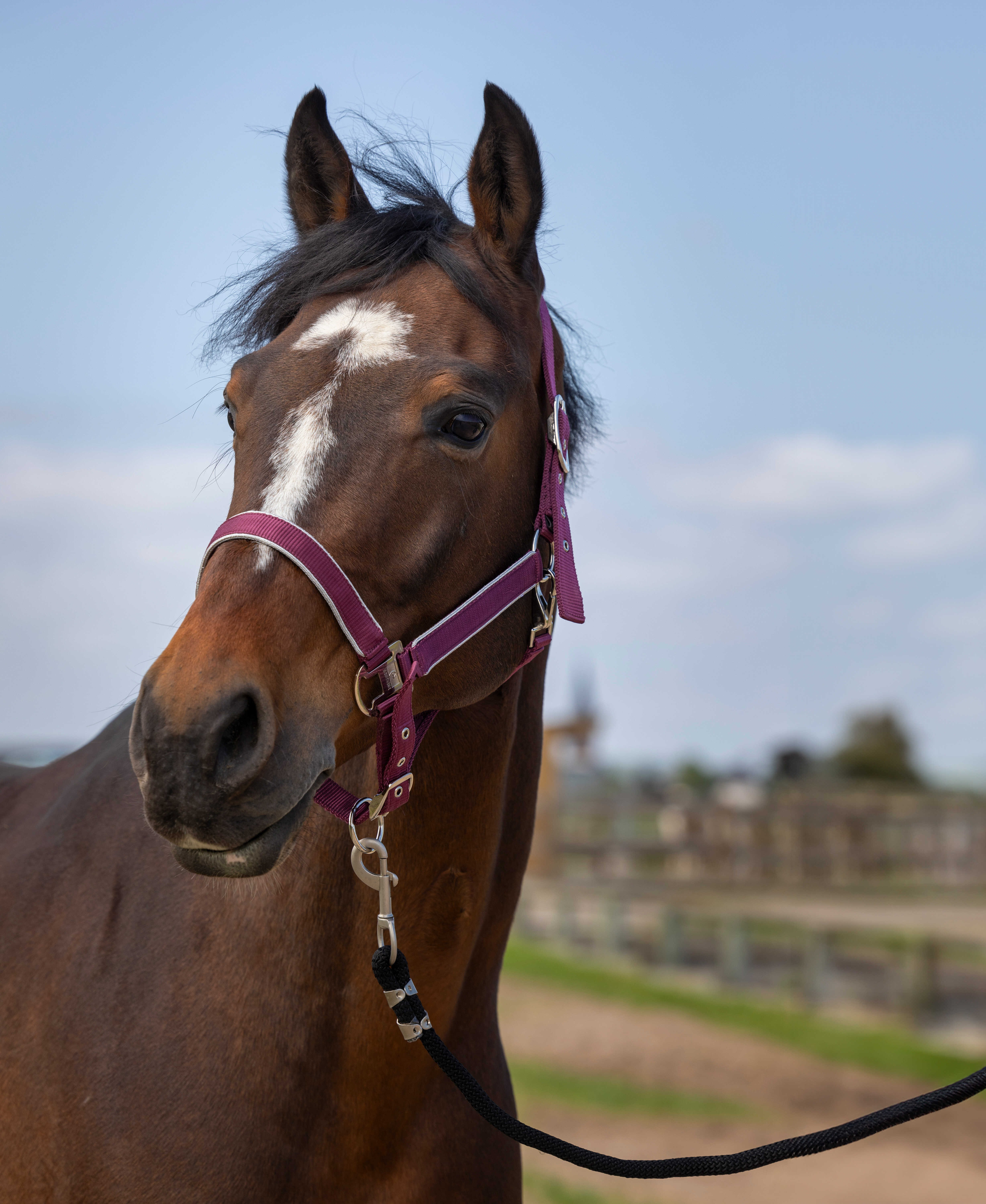 Caveção Equithème Nylon light Bordéus Bord&amp;ocirc;