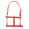 Cabresto potro Riding World - Vermelho