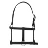 Cabresto potro Riding World - Preto