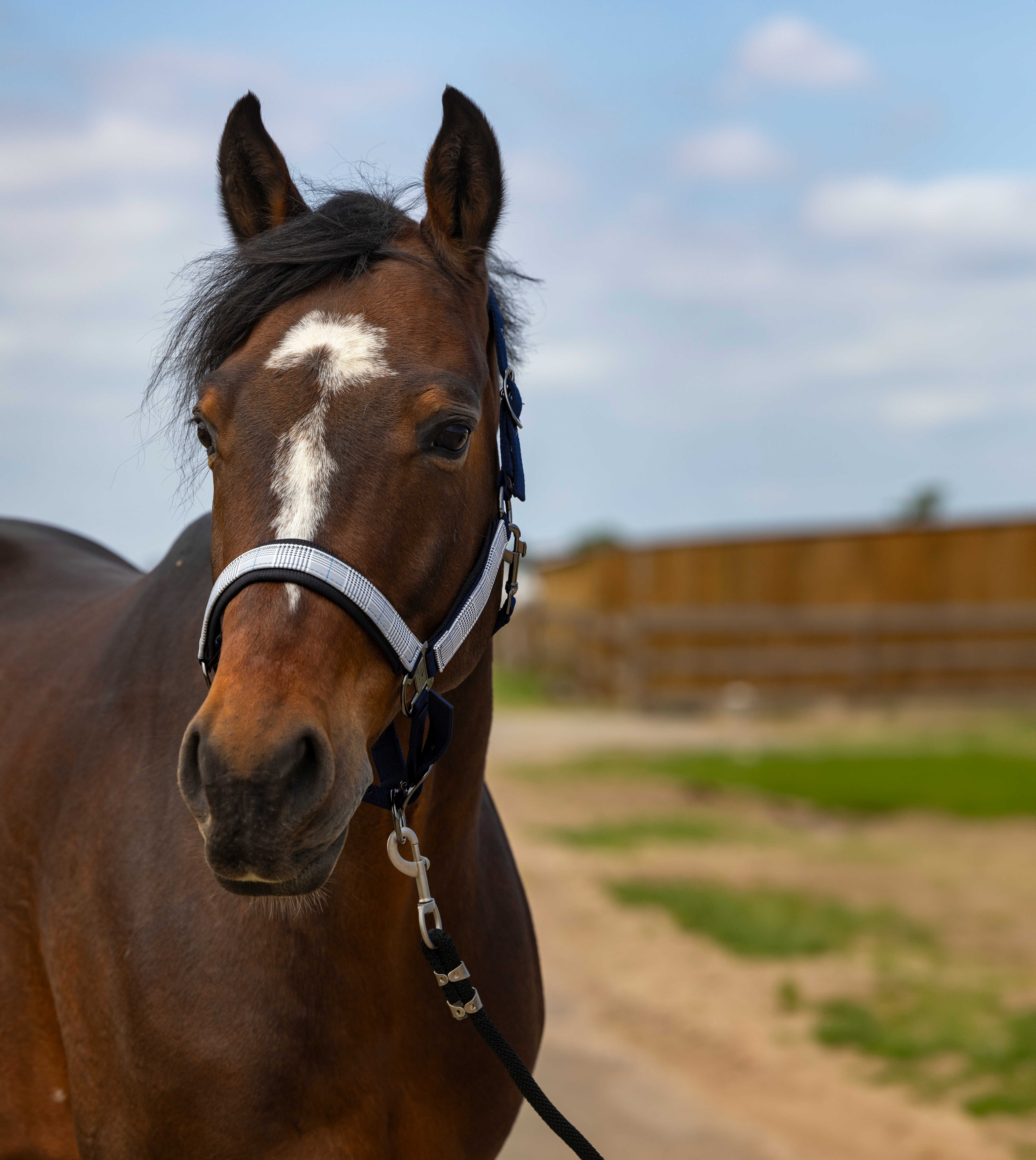 Caveção Equithème Nylon Check Marinho / preto Azul
