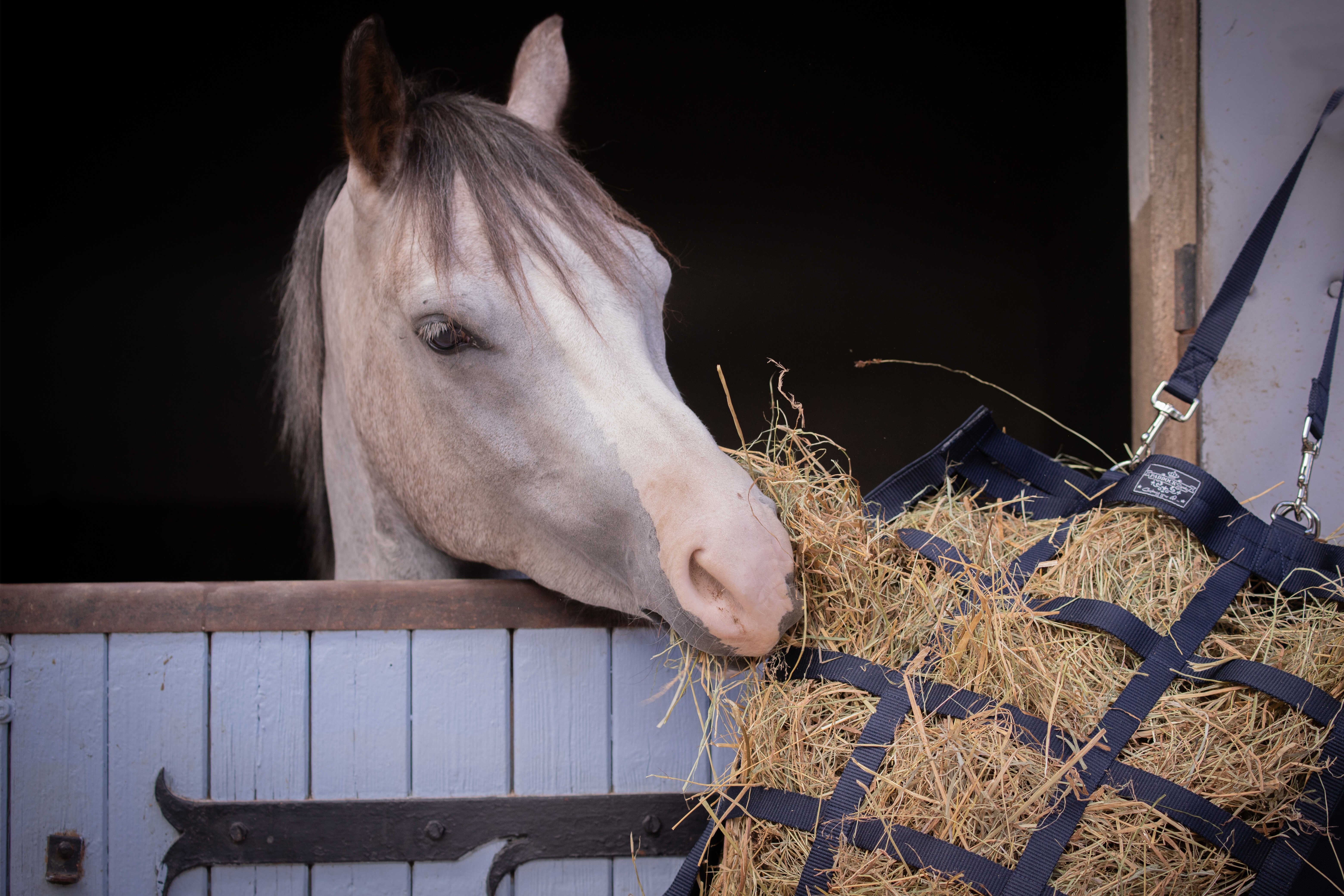 Saco de feno Paddock Sports Preto Saco de feno Paddock Sports Preto