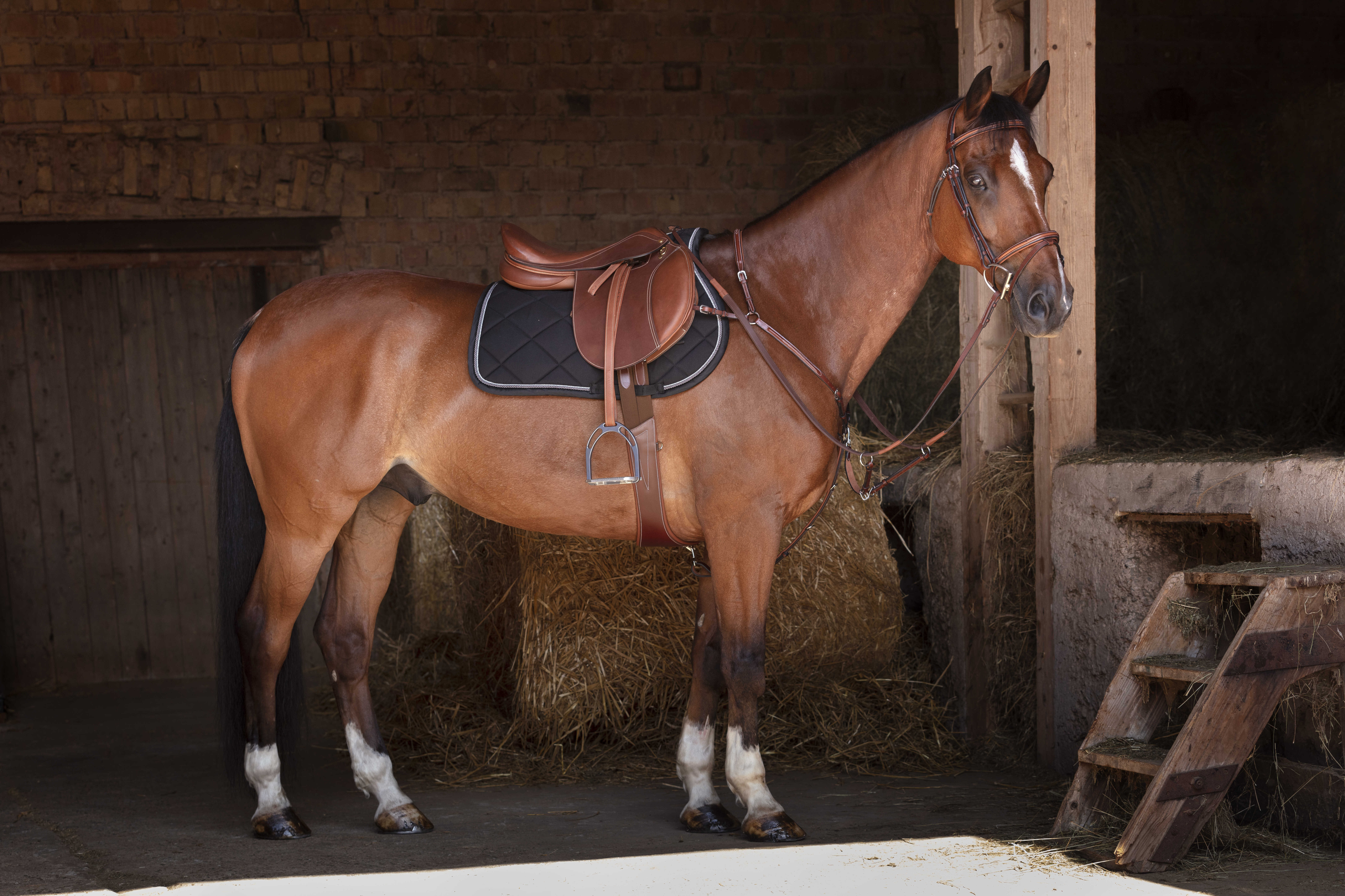 Peitoral Eric Thomas Hybrid Preto