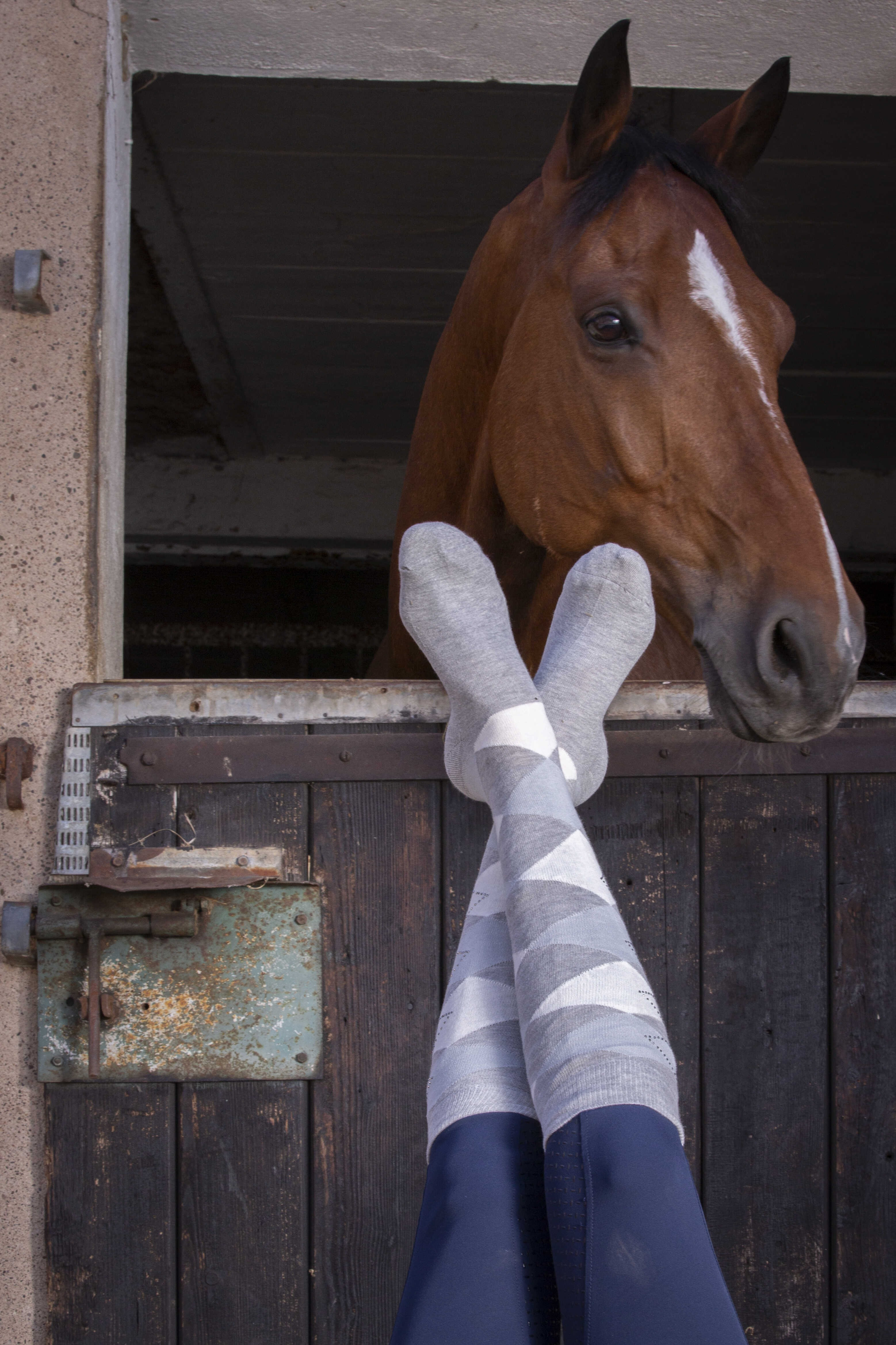 Meias Equithème Girly Bege / celadon