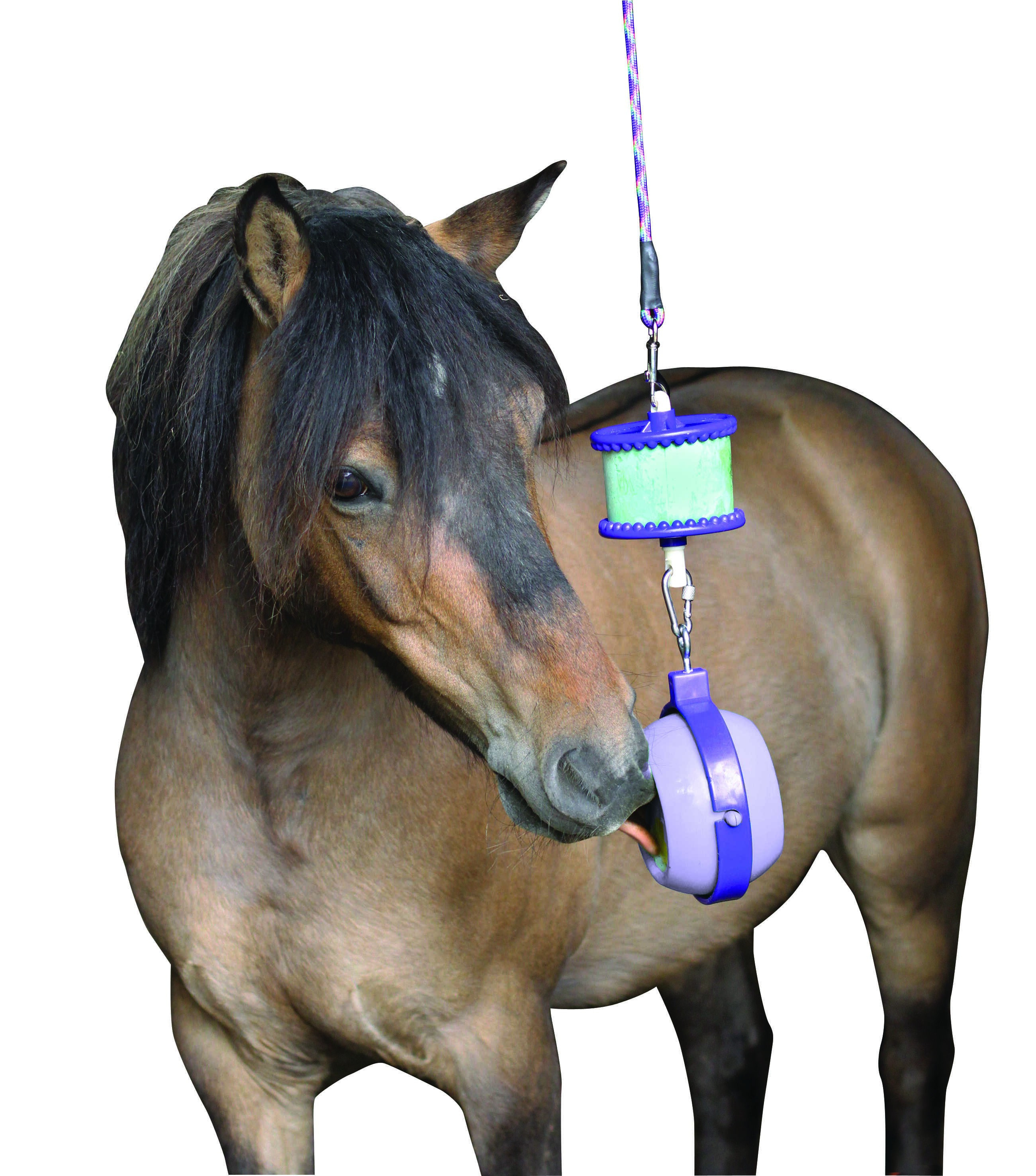 Jogo de sal-gema Boredom Buster Likit Violeta