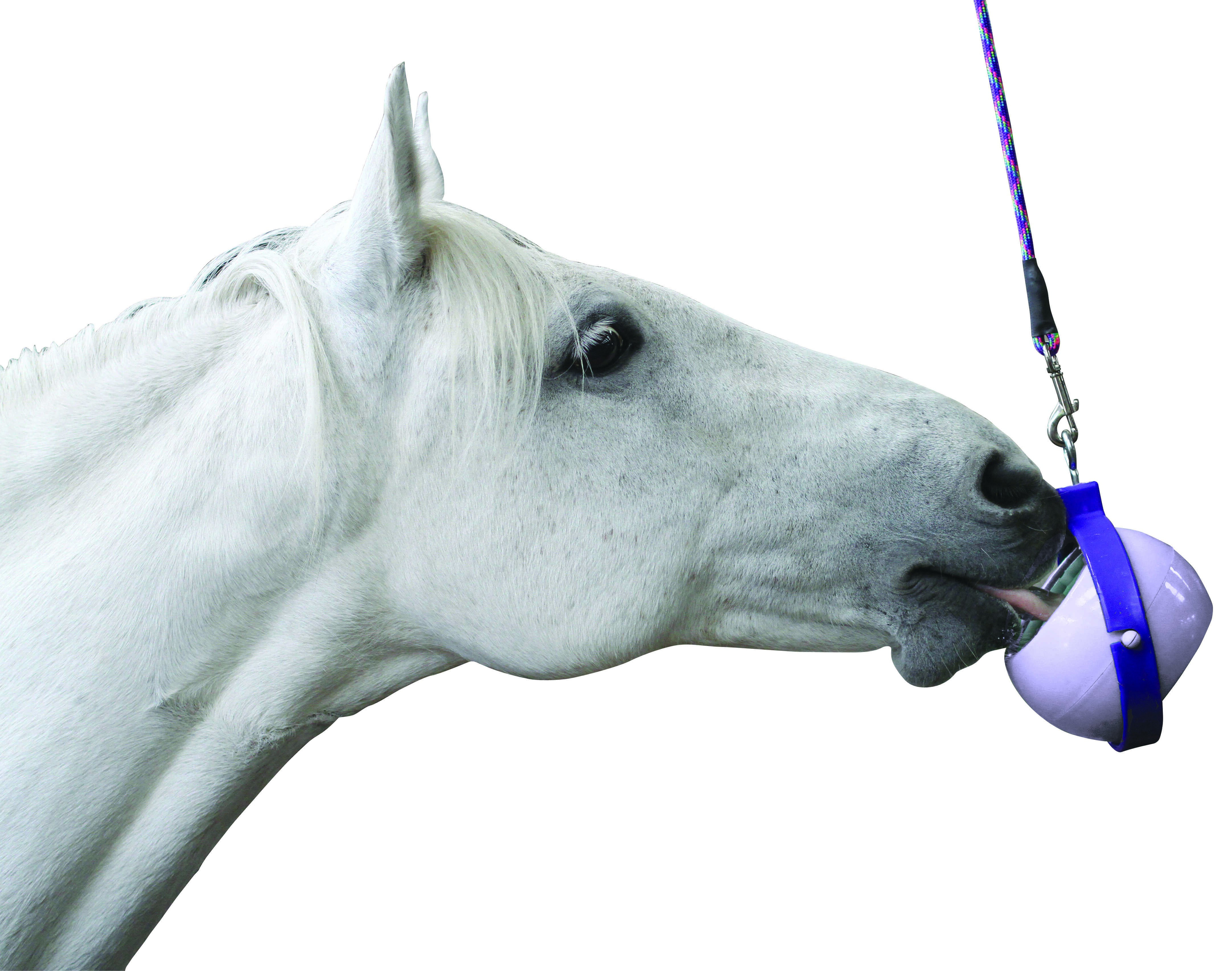 Jogo de sal-gema Boredom Buster Likit Violeta