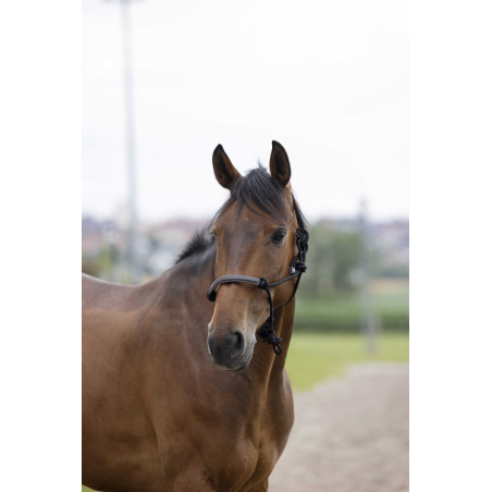 Caveçon etológico Norton corda/sintético